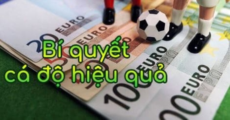 Mẹo tham gia cá cược không phải ai cũng biết