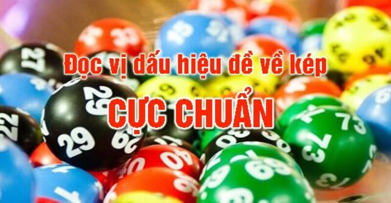 Chiến lược nuôi lô kép hiệu quả